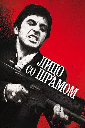 Постер Лицо со шрамом