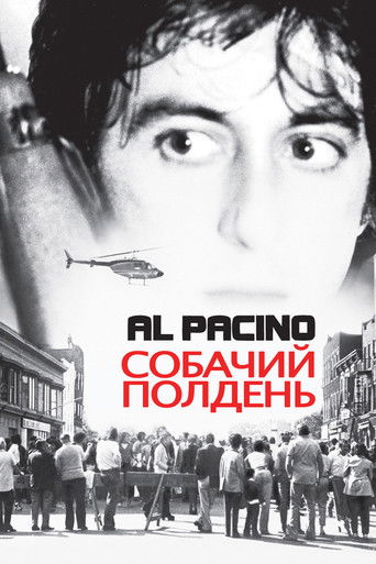 Постер Собачий полдень