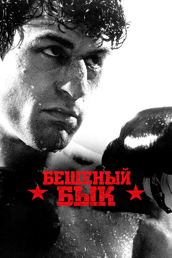 Постер Бешеный бык