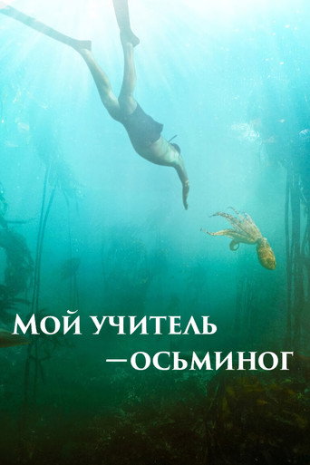 Постер Мой учитель – осьминог