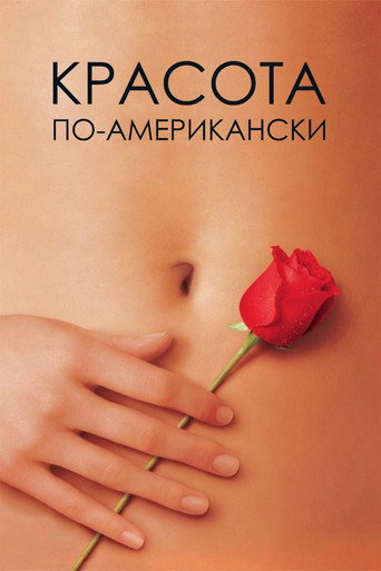 Постер Красота по-американски