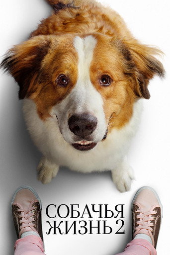 Постер Собачья жизнь 2